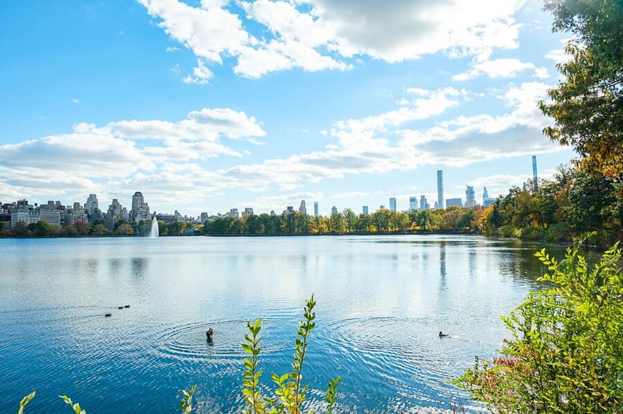 NYC: Central Park Pedicab Tour with Photo Stops - Bow Bridge, the Lake, and Cherry Hill