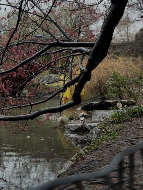 NYC Central Park Pedicab Tours - Who will enjoy this ride most?