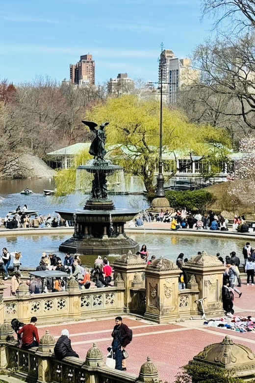 NYC: Central Park Rickshaw Tour / Private and Guided - Spotting Central Park on the big screen