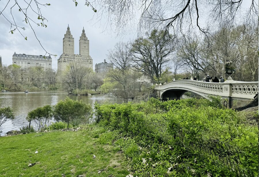 NYC: Central Park Rickshaw Tour / Private and Guided - The photo service can save your best memories