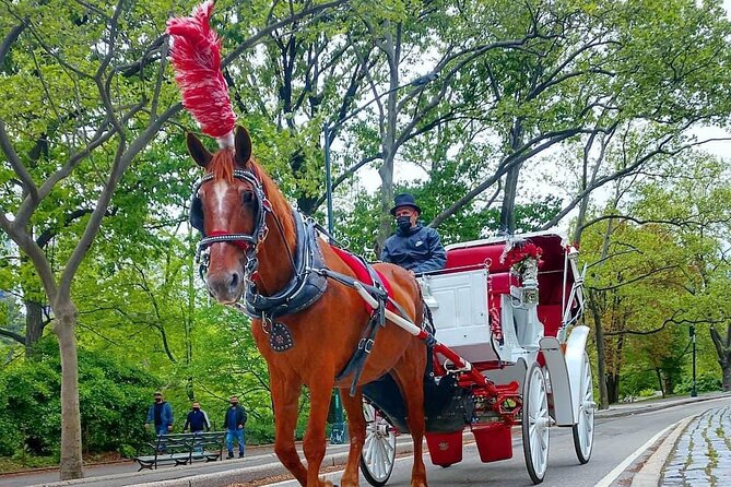 NYC Central Park VIP Horse and Carriage Ride - The 45 to 50-minute route