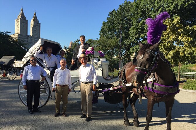 NYC Central Park VIP Horse and Carriage Ride - Columbus Circle, Balto, and Wollman Rink