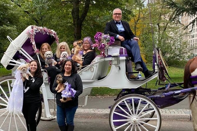NYC Central Park VIP Horse and Carriage Ride - What makes the private format worthwhile