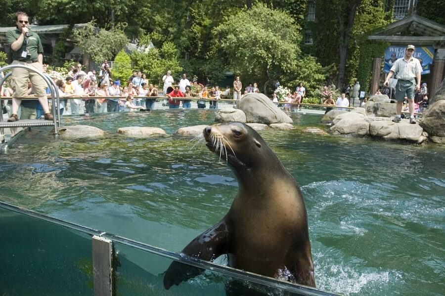 NYC: Central Park Zoo Entry Ticket & Manhattan Walking Tour - Is $57 a fair price?