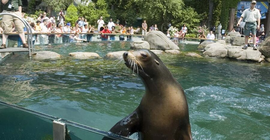 NYC: Central Park Zoo Entry Ticket & Manhattan Walking Tour - The five-hour schedule requires sensible planning