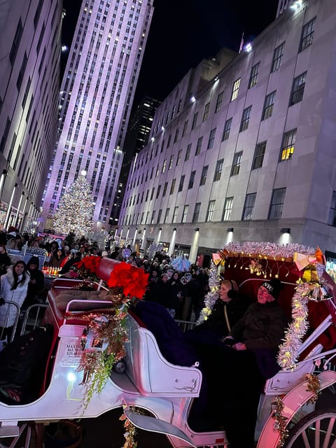 NYC: Christmas Lights Horse Carriage Ride - Key points to know before you book