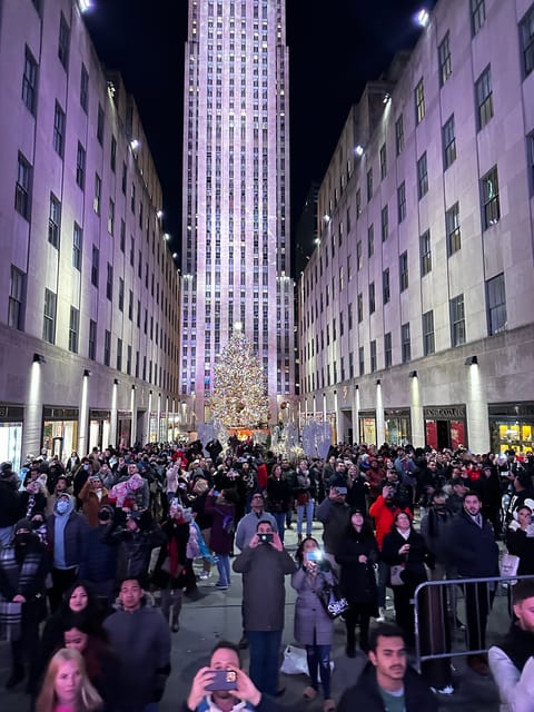 NYC: Christmas Lights Horse Carriage Ride - Starting at Central Park’s southern edge