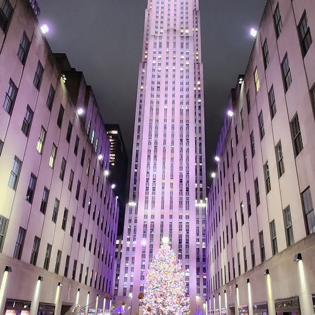 NYC: Christmas Lights Horse Carriage Ride - Saks Fifth Avenue and the big light display