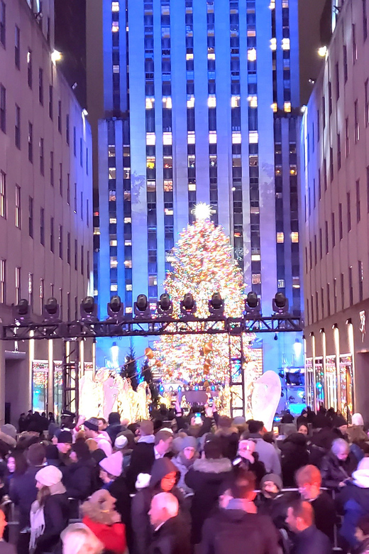 NYC: Christmas Lights Horse Carriage Ride - Radio City Music Hall and Sixth Avenue
