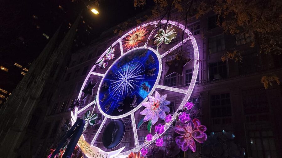 NYC: Christmas Lights Horse Carriage Ride - What the private format really gives you