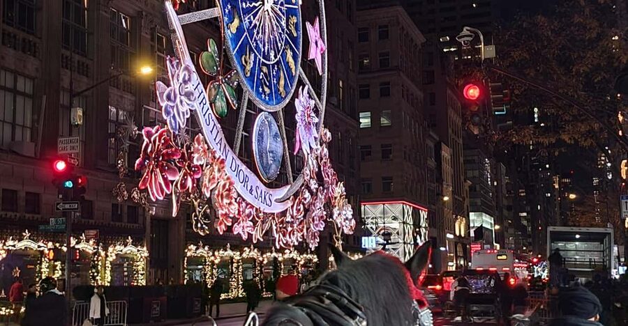 NYC: Christmas Lights Horse Carriage Ride - Guides, horses, and the human touch
