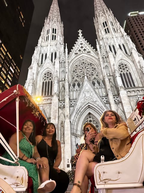 NYC: Christmas Lights Horse Carriage Ride - Cold weather, timing, and route changes