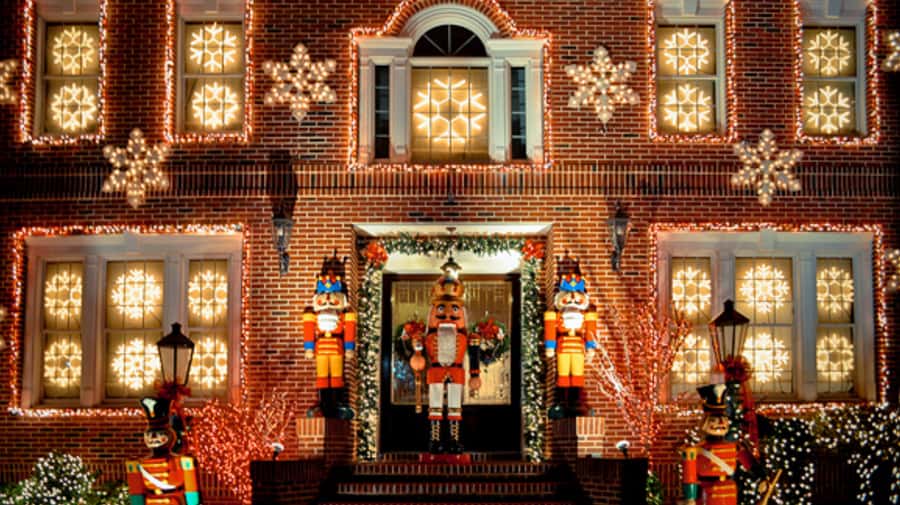 NYC: Christmas Lights Tour and Dyker Heights - Guide style, languages, and group comfort