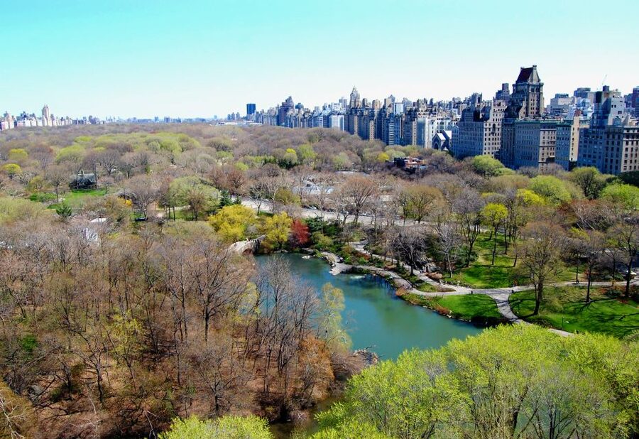 NYC: Custom Highlights & Hidden Gems Tour with a Local - Shopping streets and famous names