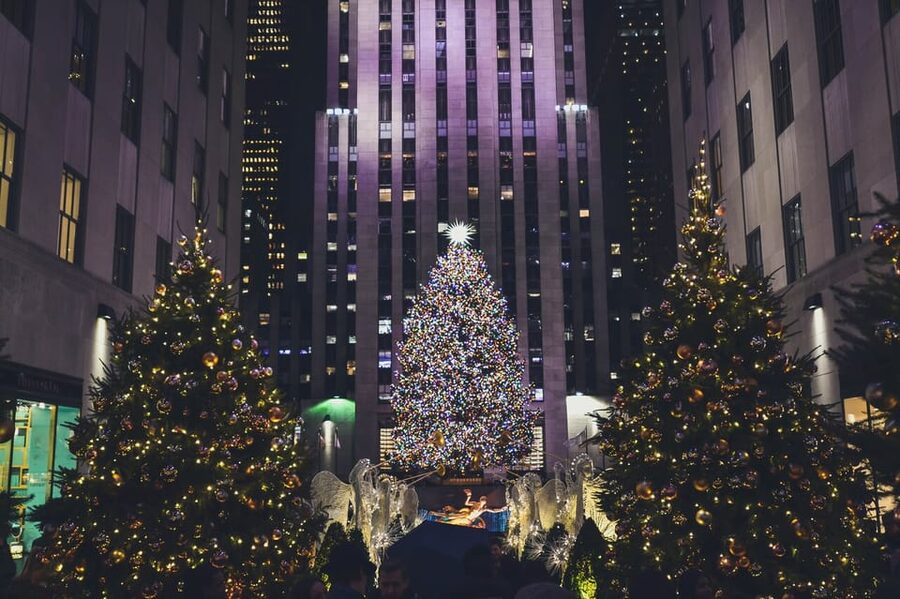 NYC: Dyker Heights and NYC Holiday Lights Luxury Bus Tour - Why Dyker Heights Makes This Tour Worth Considering