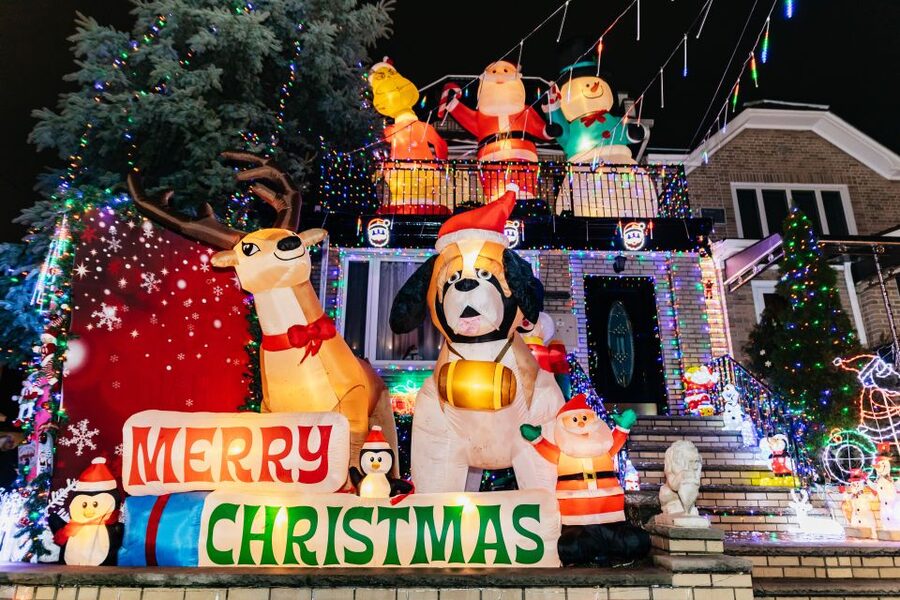 NYC: Dyker Heights Christmas Lights & Skyline View Bus Tour - Brooklyn Bridge Park and the Manhattan skyline