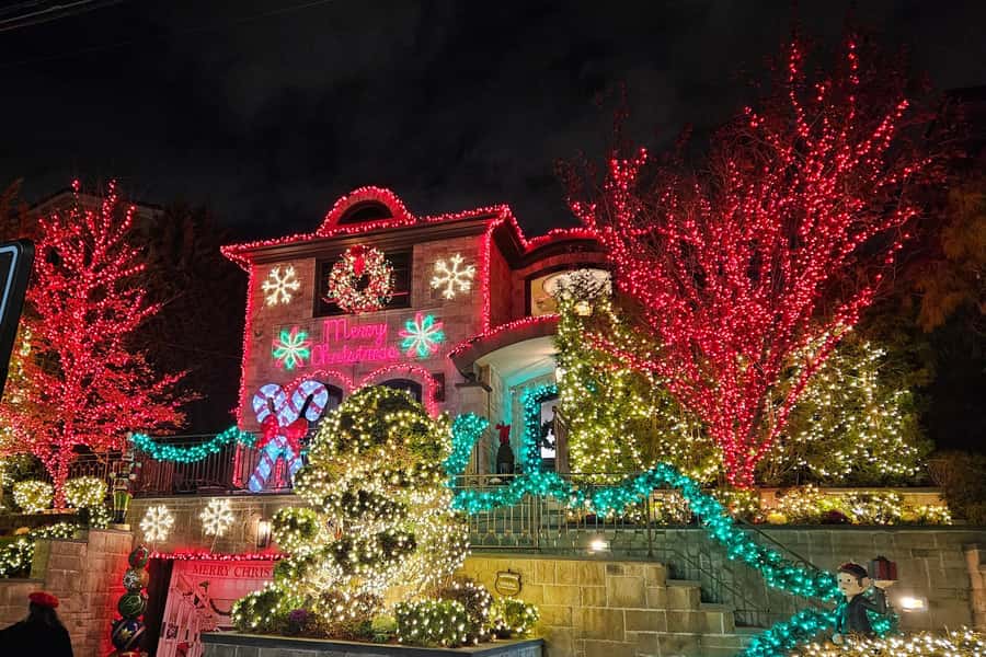 NYC: Dyker Heights Christmas Lights Tour with Hot Cocoa - Skyline views before the lights