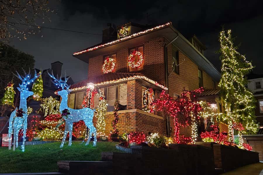 NYC: Dyker Heights Christmas Lights Tour with Hot Cocoa - Booking details that matter