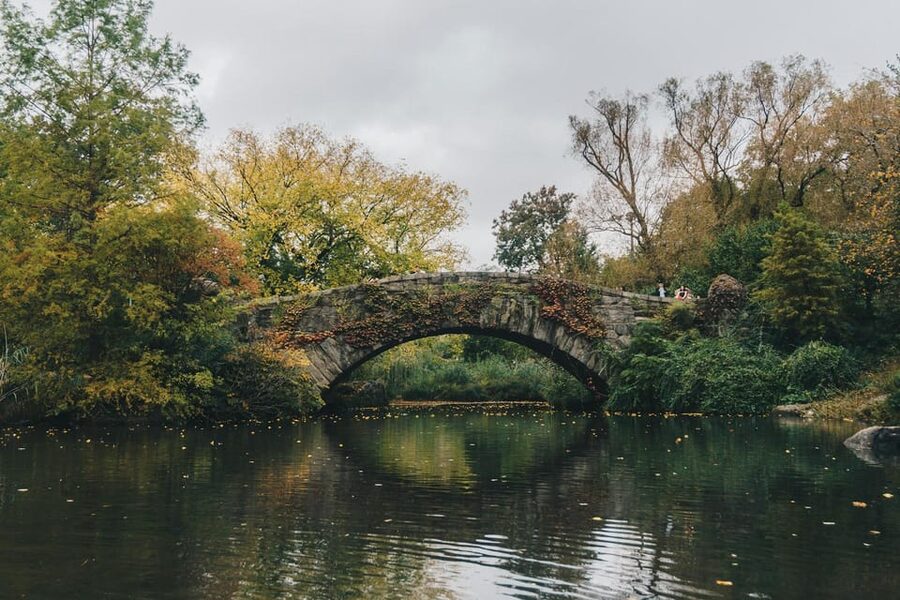 NYC: Elf & Home Alone 2 Locations Central Park Pedicab Tour - Key points to know before you book