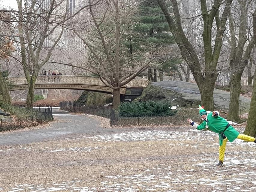 NYC: Elf & Home Alone 2 Locations Central Park Pedicab Tour - Wollman Rink, seen from the route