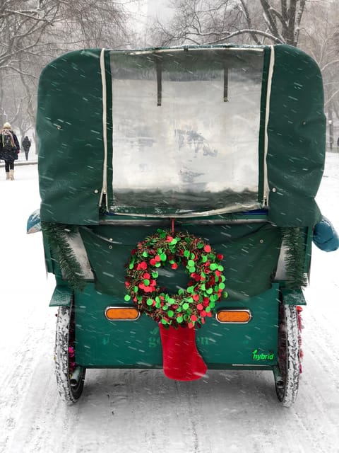 NYC: Elf & Home Alone 2 Locations Central Park Pedicab Tour - Pinebank Arch and the park’s quieter side