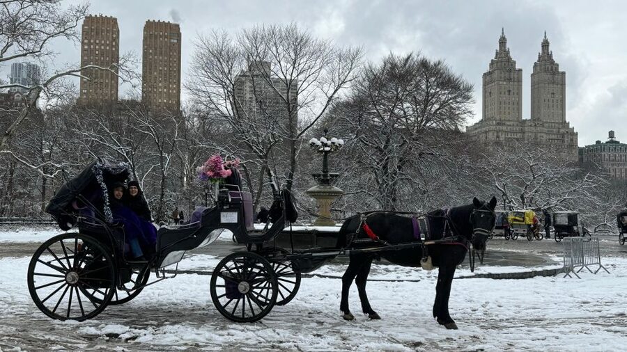 NYC Empire State Horse Carriage Ride in Central Park(45mins) - Bethesda Terrace and Fountain