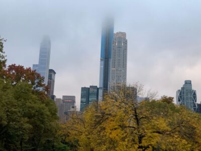 NYC Empire State Horse Carriage Ride in Central Park(45mins)