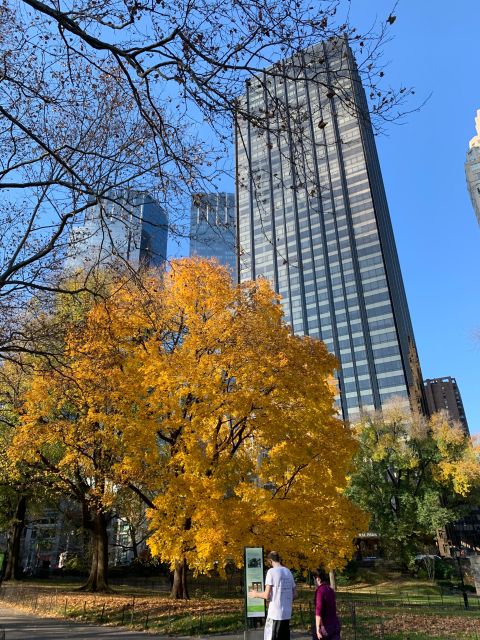 NYC Empire State Horse Carriage Ride in Central Park(45mins) - Cherry Hill and the Lake