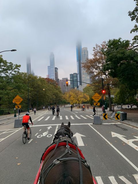NYC Empire State Horse Carriage Ride in Central Park(45mins) - Balto, Sheep Meadow, and the park’s family sights