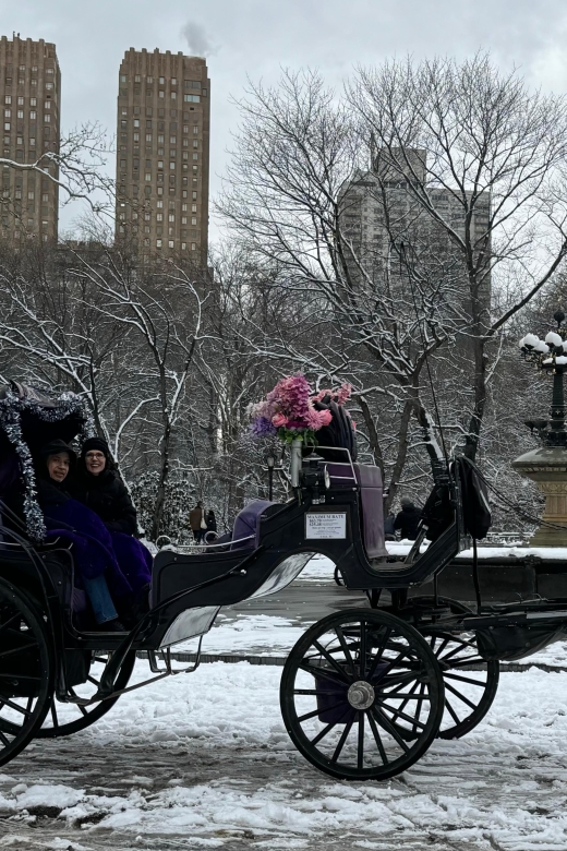 NYC Empire State Horse Carriage Ride in Central Park(45mins) - A quiet ride in the middle of Manhattan