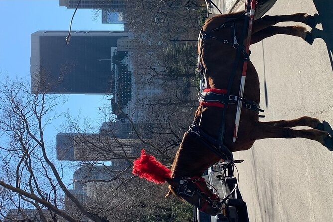 NYC Empire State Horses Carriage Ride in Central Park (45 Mins) - Key points to know before booking