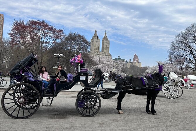 NYC Empire State Horses Carriage Ride in Central Park (45 Mins) - Wollman Rink, the Carousel, and the park’s family side