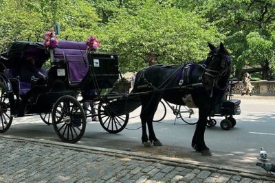 NYC Empire State Horses Carriage Ride in Central Park (45 Mins)