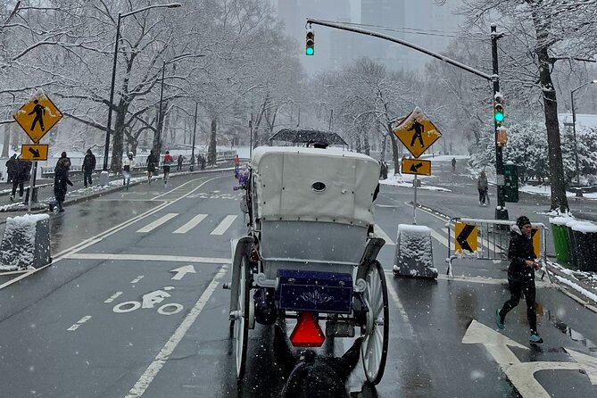NYC Empire State Horses Carriage Ride in Central Park (45 Mins) - Loeb Boathouse and Bethesda Fountain