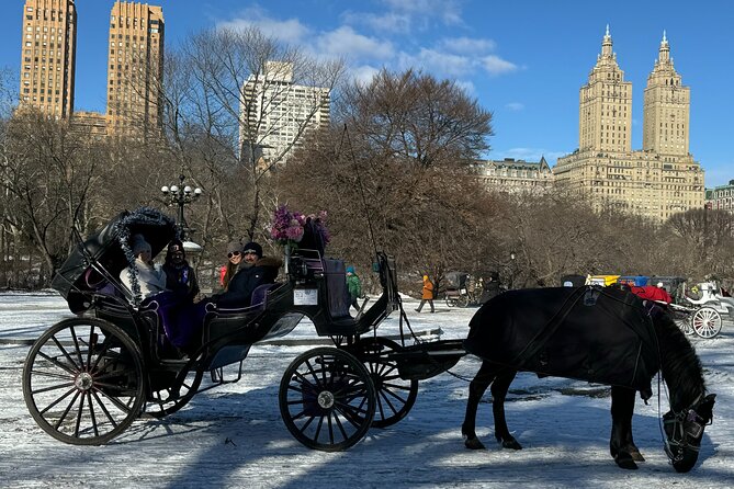 NYC Empire State Horses Carriage Ride in Central Park (45 Mins) - Cherry Hill, Strawberry Fields, and the Dakota Building