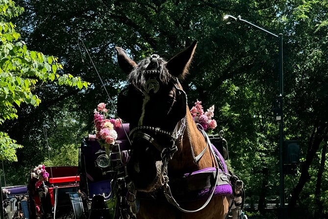 NYC Empire State Horses Carriage Ride in Central Park (45 Mins) - Blankets, weather, and the best time to go