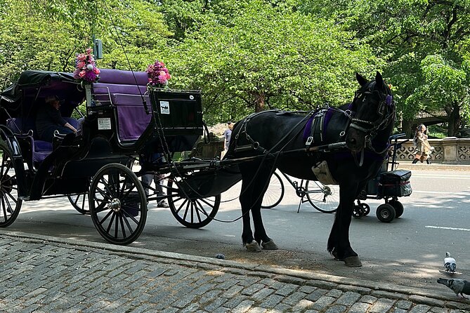 NYC Empire State Horses Carriage Ride in Central Park (45 Mins) - Meeting at the New York Athletic Club