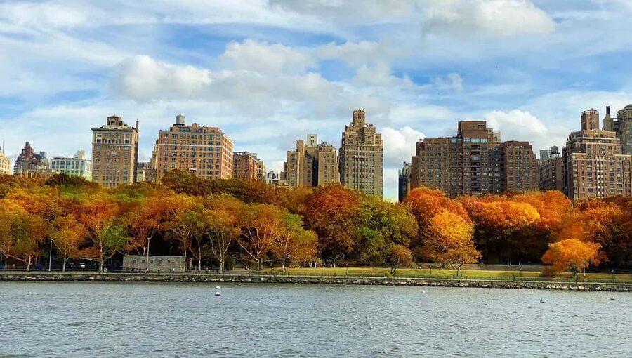 NYC: Fall Foliage Cruise with Live Guide - Food, drinks, and the onboard setup