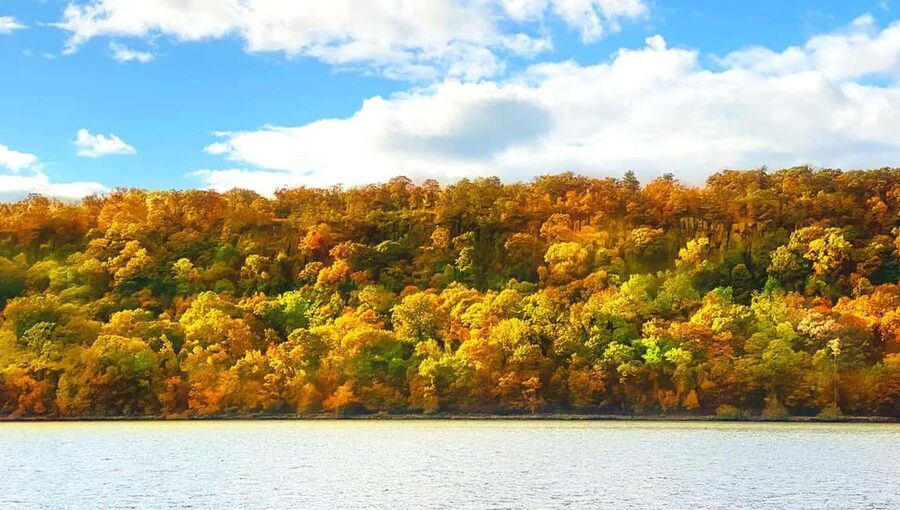 NYC: Fall Foliage Cruise with Live Guide - Who will enjoy this Hudson cruise most?