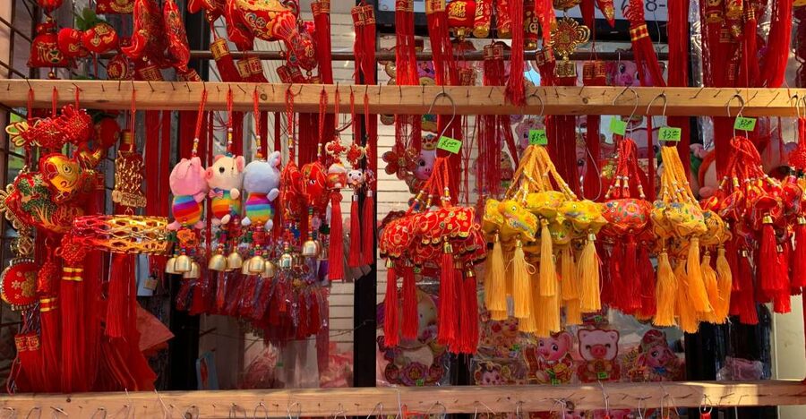 NYC | French guided tour Greenwich Village through Chinatown - What the small group changes