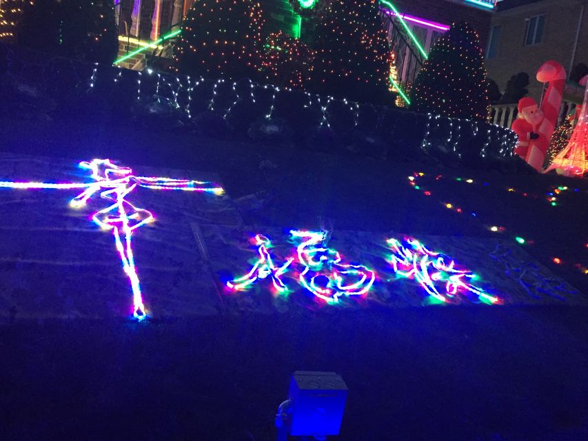 NYC | French guided tour of Christmas in Brooklyn - Key points to know before booking