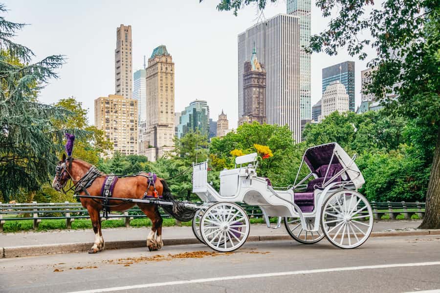 NYC: Guided Central Park Horse Carriage Ride - Why a carriage is a smart first look at Central Park