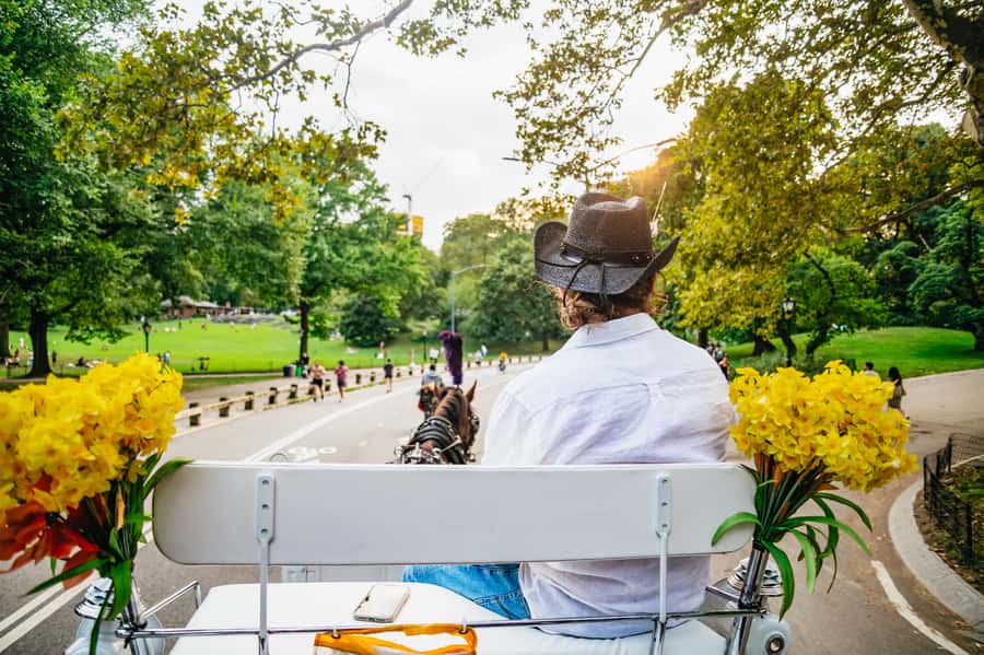 NYC: Guided Central Park Horse Carriage Ride - From Wollman Rink to the Carousel