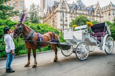 Guided Central Park Horse Carriage Ride