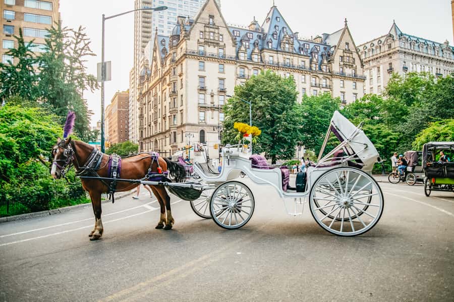 NYC: Guided Central Park Horse Carriage Ride - Sheep Meadow, Tavern on the Green, and the park’s public life
