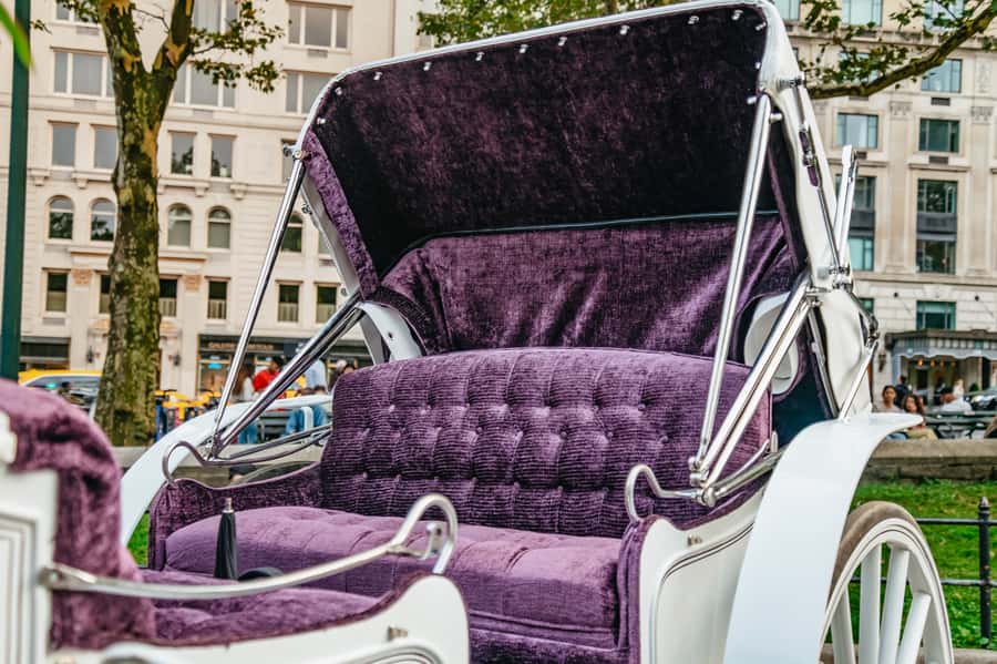 NYC: Guided Central Park Horse Carriage Ride - The guide can make or break the ride