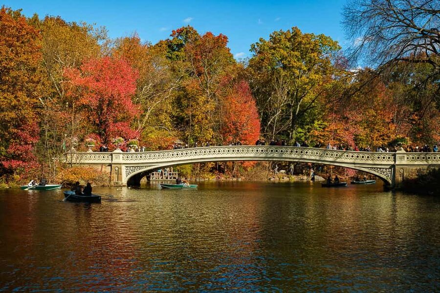 NYC: Guided Central Park Private Pedicab Tour - Key points to know before you book