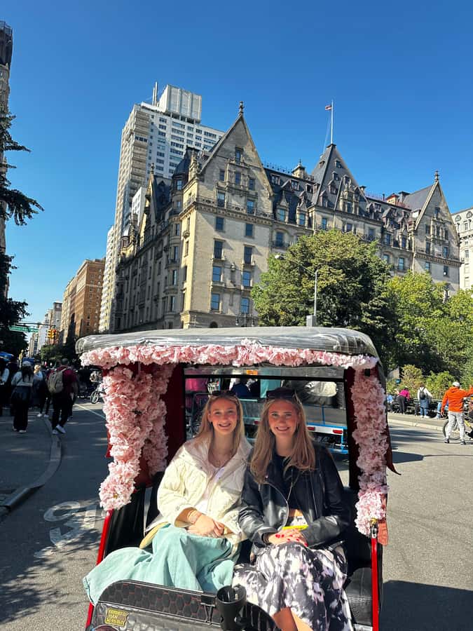 NYC: Guided Pedicab Tour of Central Park - Key points to know before you book