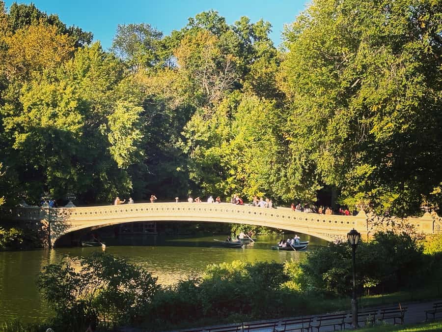 NYC: Guided Pedicab Tour of Central Park - The Mall, Balto, and SummerStage