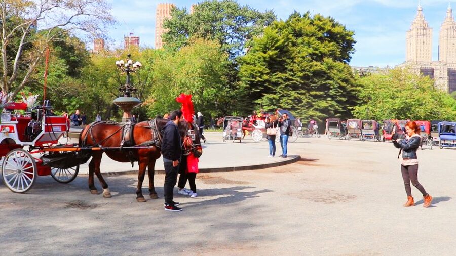 NYC: Guided Standard Central Park Carriage Ride (4 Adults) - Key points to know before booking